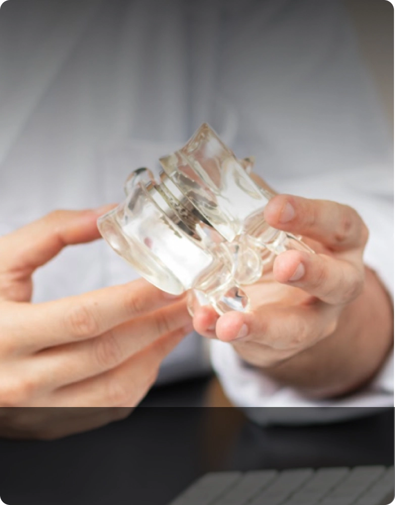 Prótesis de Disco Lumbar